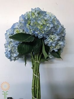 wholesale hydrangea-blue