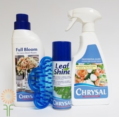 Buy Chrysal Flower Food and Care Kit Online Today!