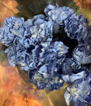 Blue Tinted Carnations