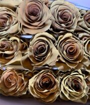 Macchiato Tinted Brown Roses